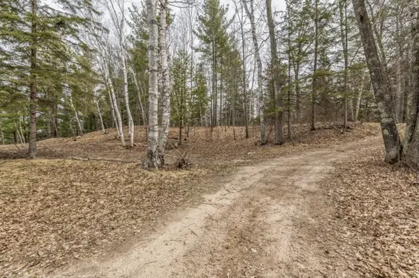TBD Birch Bay LN NE, Outing, MN 56662