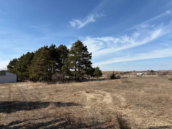 TBD Cty 9, Pelican Rapids, MN 56572