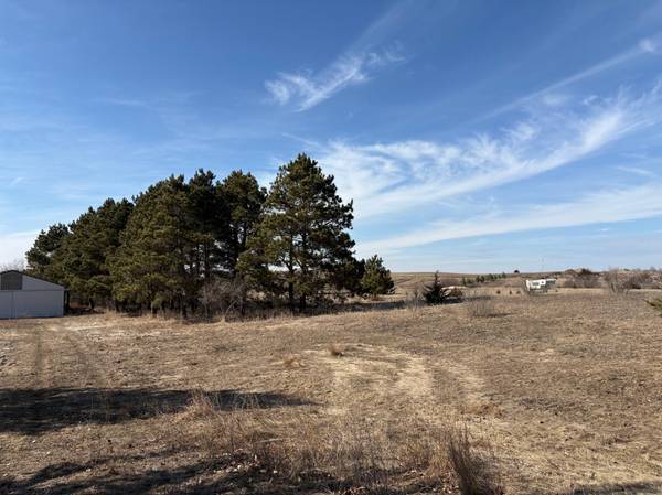 TBD Cty 9, Pelican Rapids, MN 56572
