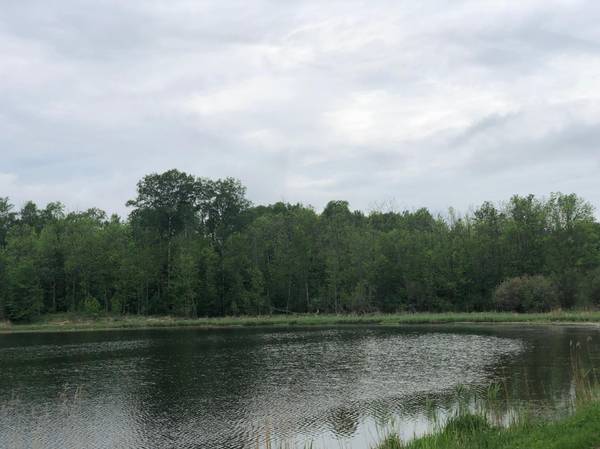 9a Hines Road NE, Hines, MN 56647