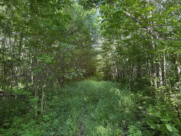 40a Bridgie RD, Northome, MN 56661