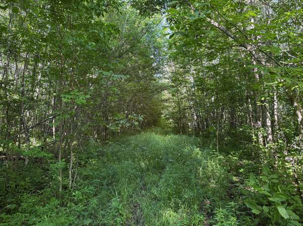 40a Bridgie RD, Northome, MN 56661
