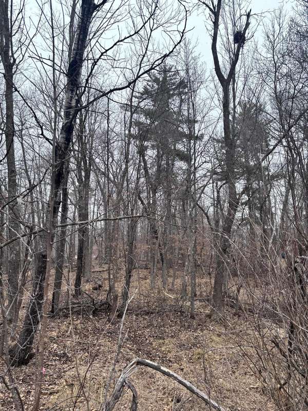 79xx Golf Estates DR, Pequot Lakes, MN 56472