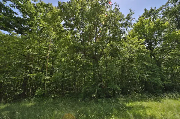 Tract D Olander RD, Crosby, MN 56441