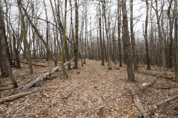 Lot 3 Saylers Beach RD, Lake Park, MN 56554