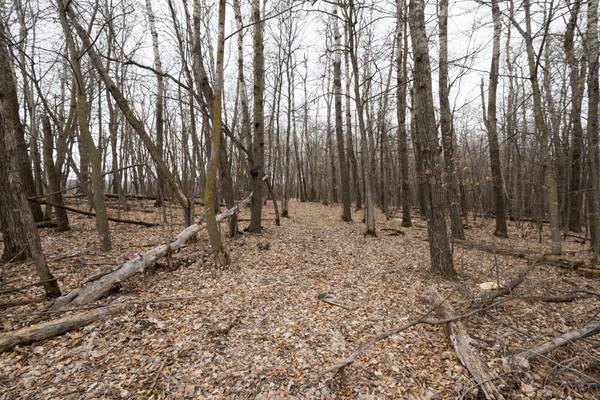 Lot 3 Saylers Beach RD, Lake Park, MN 56554