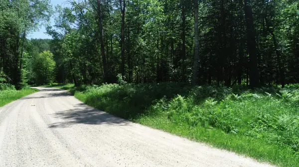 TBD Rush Island Lake Road, Deer River, MN 56636