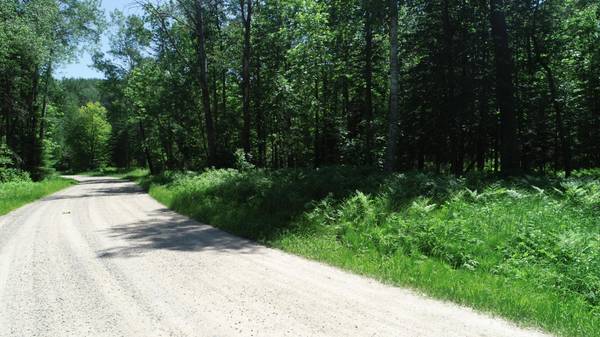 TBD Rush Island Lake Road, Deer River, MN 56636