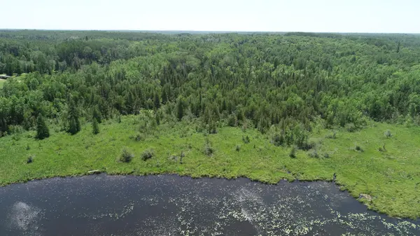 TBD Rush Island Lake Road, Deer River, MN 56636