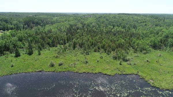 TBD Rush Island Lake Road, Deer River, MN 56636