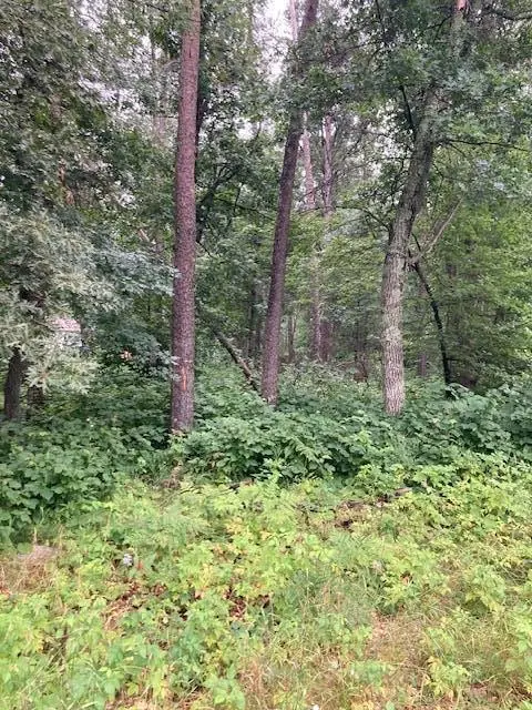 Lot 39 & 40 Owl CIR, Breezy Point, MN 56472