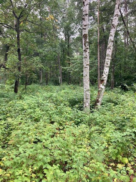 Lot 39 & 40 Owl CIR, Breezy Point, MN 56472