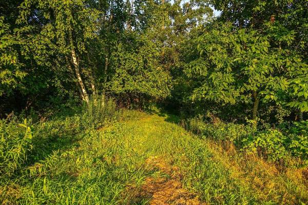 TBD County Road S, Blair, WI 54616