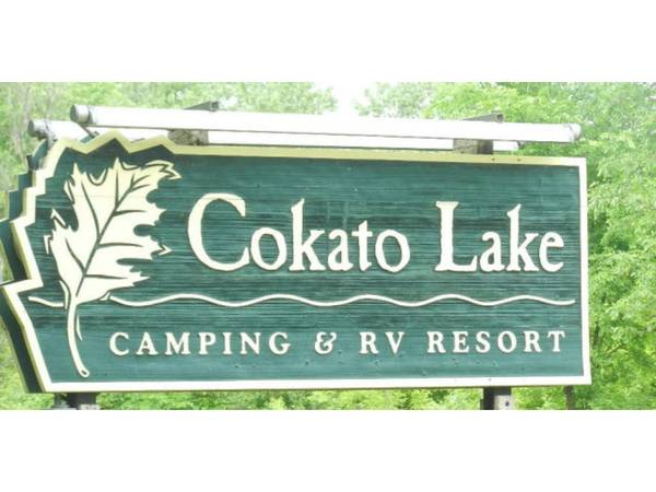 2945 County Road 4 #514 SW, Cokato, MN 55321