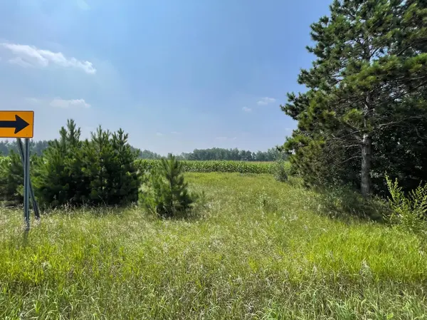 XXX 17th ST, Princeton, MN 55371