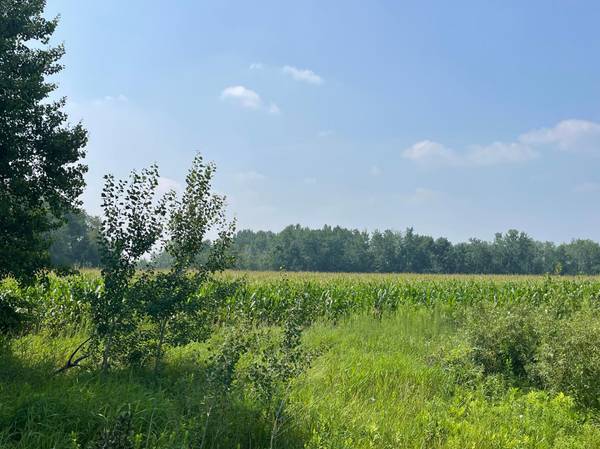 XXX 17th ST, Princeton, MN 55371
