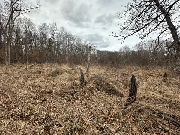 Lot 25 County Rd 11, Breezy Point, MN 56472
