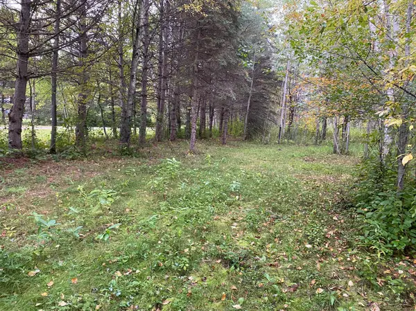 TBD LOT 13 Owl AVE, Aitkin, MN 56431