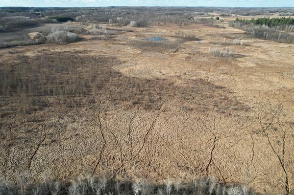 TBD 320th ST, Browerville, MN 56438
