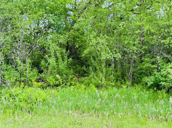 Lot 3 Canterbury Sands Trail, Battle Lake, MN 56515