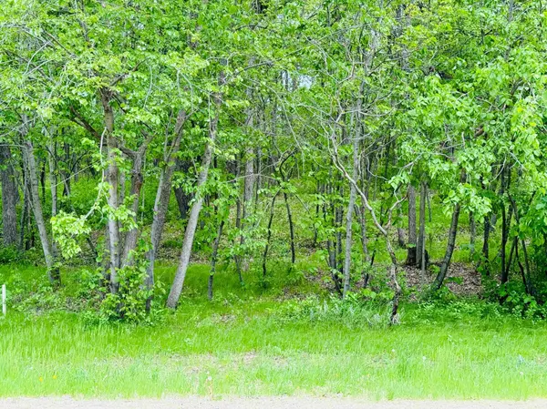 Lot 4 Canterbury Sands Trail, Battle Lake, MN 56515