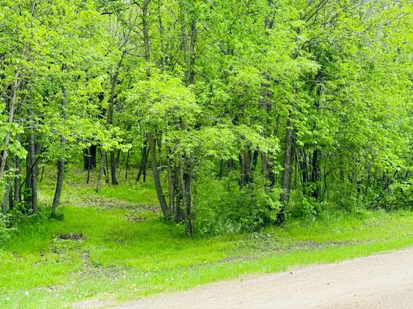 Lot 4 Canterbury Sands Trail, Battle Lake, MN 56515