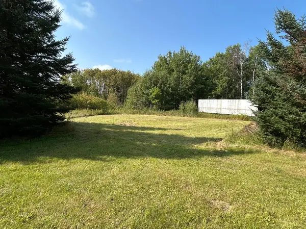10629 Town Rd 34, Mizpah, MN 56660
