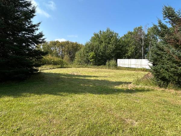 10629 Town Rd 34, Mizpah, MN 56660