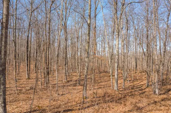 TBD 250th PL, Isle, MN 56342