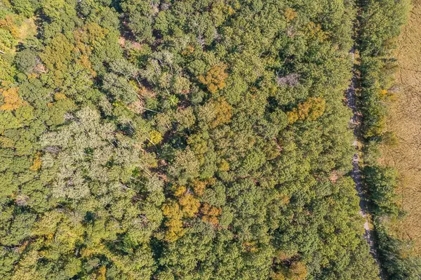 Tract B TBD Little Pine RD, Brainerd, MN 56401