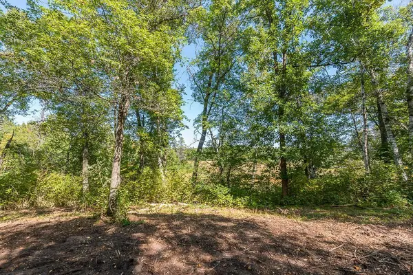 Tract C TBD Little Pine RD, Brainerd, MN 56401