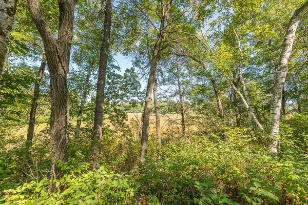 Tract C TBD Little Pine RD, Brainerd, MN 56401