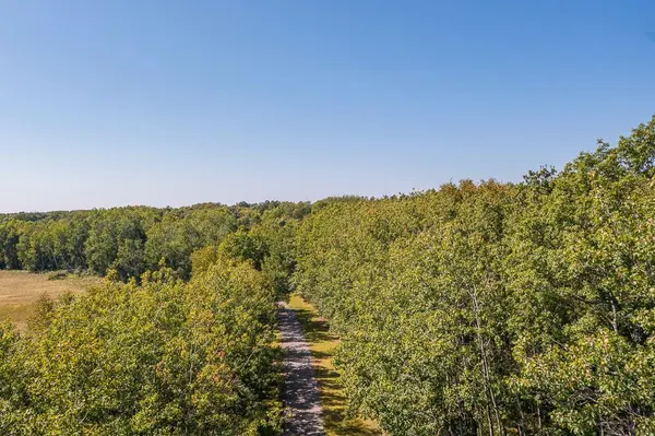 Tract D TBD Little Pine RD, Brainerd, MN 56401