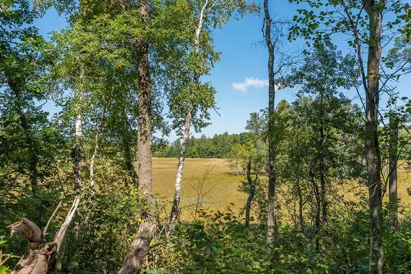 Tract D TBD Little Pine RD, Brainerd, MN 56401