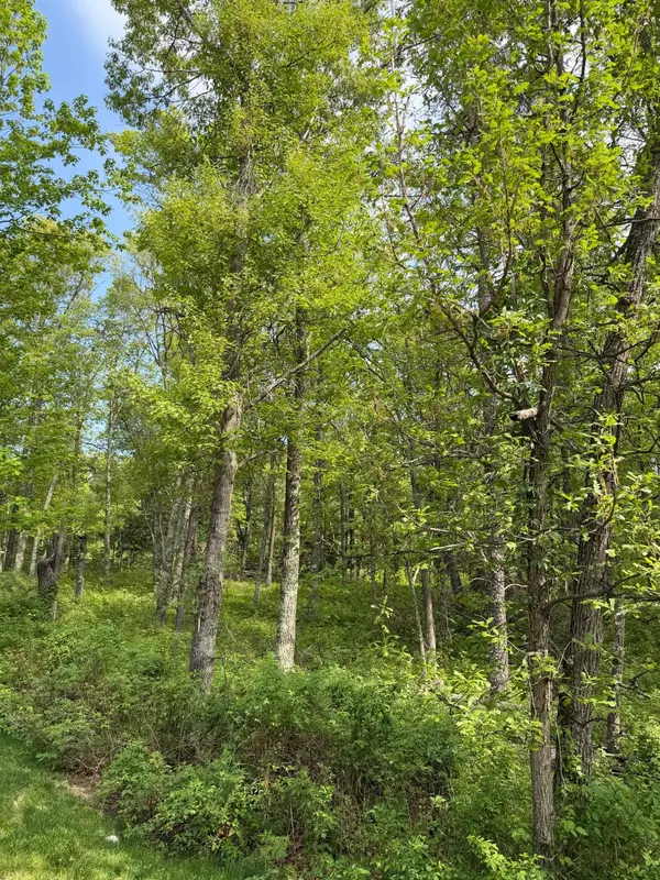 0 Sugarloaf RD, Crosslake, MN 56442