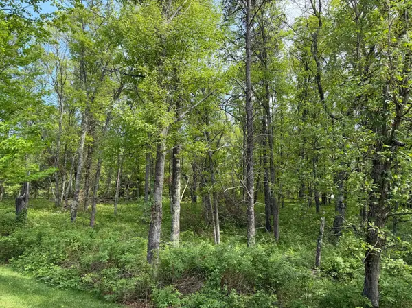 0 Sugarloaf RD, Crosslake, MN 56442