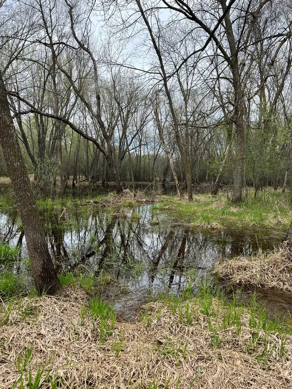 TBD Maple ST N, Royalton, MN 56373