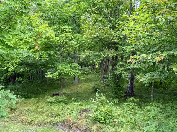 14888 Eaglewood DR, Detroit Lakes, MN 56501