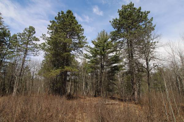 37441 Darsnek RD, Emily, MN 56447