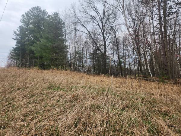 3650 253rd AVE NE, Isanti, MN 55040