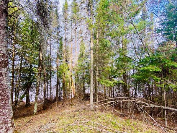11171 S Engstad RD, Solon Springs, WI 54873