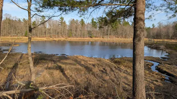 29228 Honkers Hollow, Danbury, WI 54830