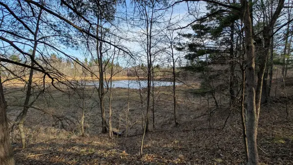 TBD Honkers Hollow, Danbury, WI 54830