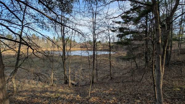 TBD Honkers Hollow, Danbury, WI 54830