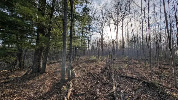 TBD Honkers Hollow, Danbury, WI 54830
