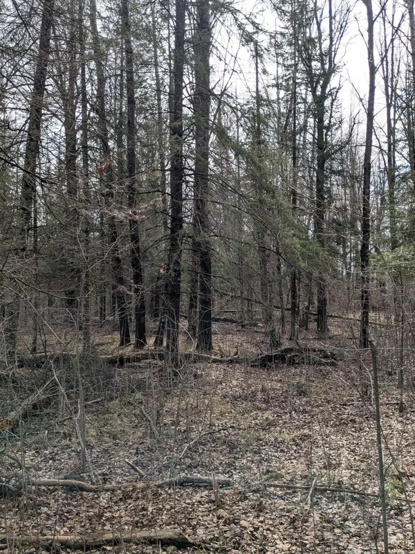 1102 W County Line RD, Tamarack, MN 55787