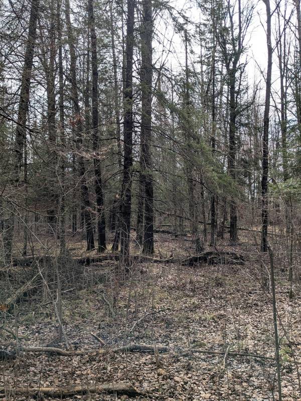 1102 W County Line RD, Tamarack, MN 55787