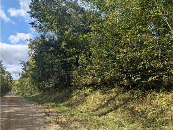 L23 B32 Shady Trail, Breezy Point, MN 56472