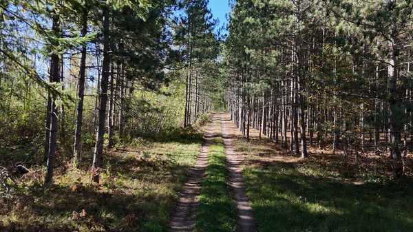 xxx Mann Road, Spooner, WI 54801