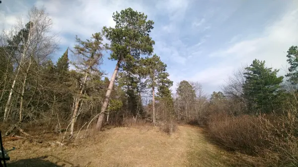 50126 County 29, Bemidji, MN 56601